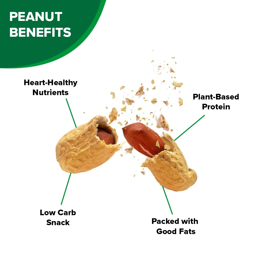 Roasted In-Shell Salted Peanuts 24 oz Bag N58144