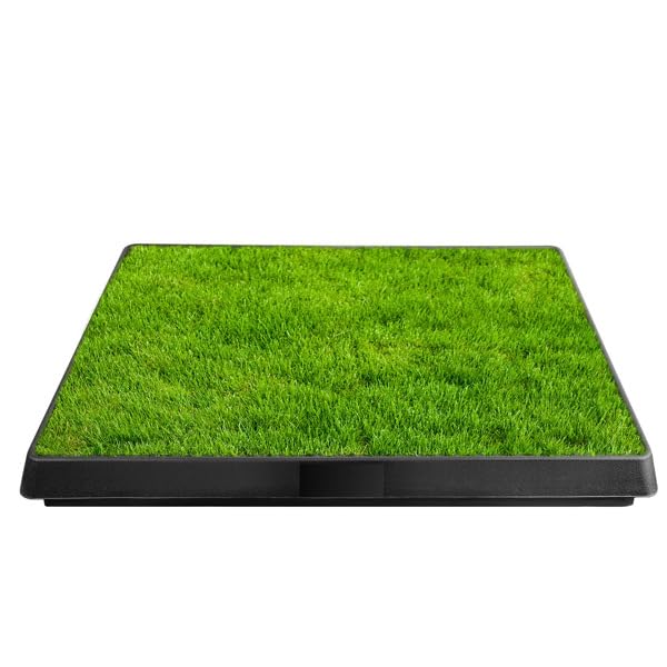 25" x 20" Artificial Grass Dog Potty with Removable Waste Tray F709