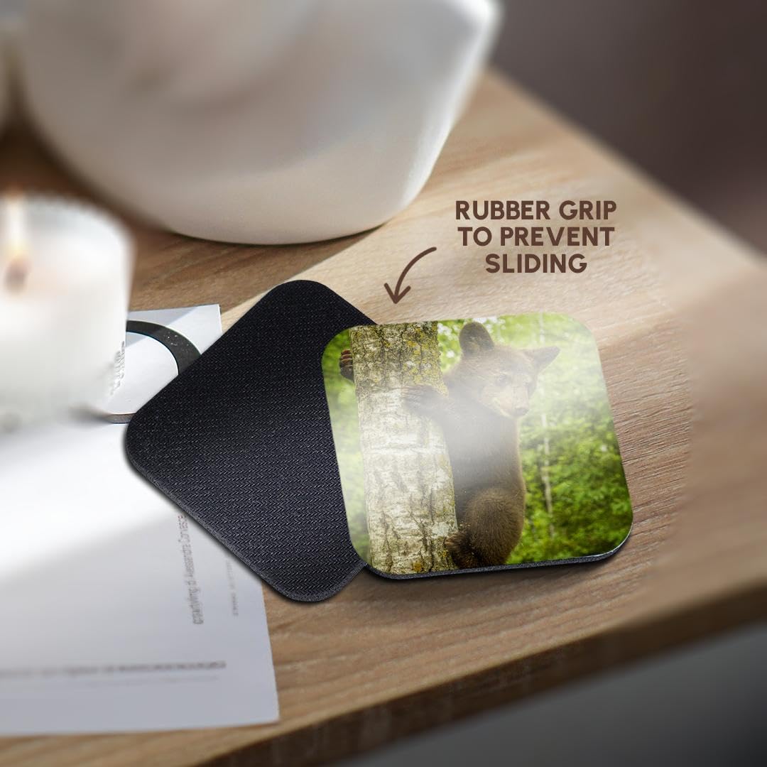 Set of 4 Coasters Y203