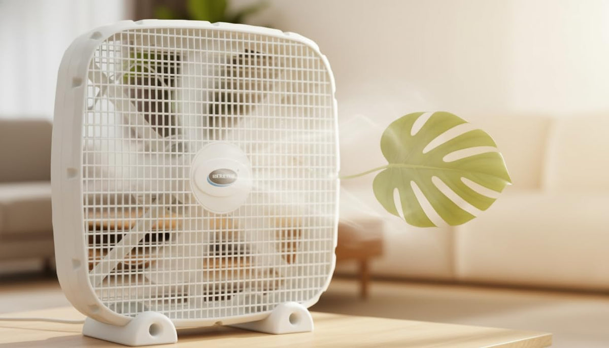 3-Speed Box Fan with Carry Handle, 5 Blades, 20-Inch, White V916