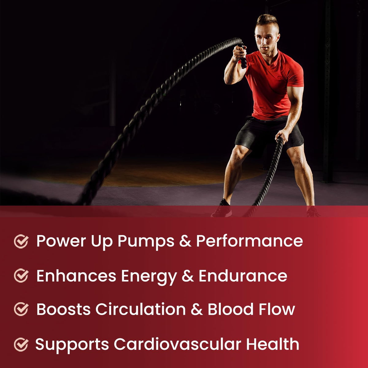 L-Arginine L Citrulline Malate Nitric Oxide Supplement E8607