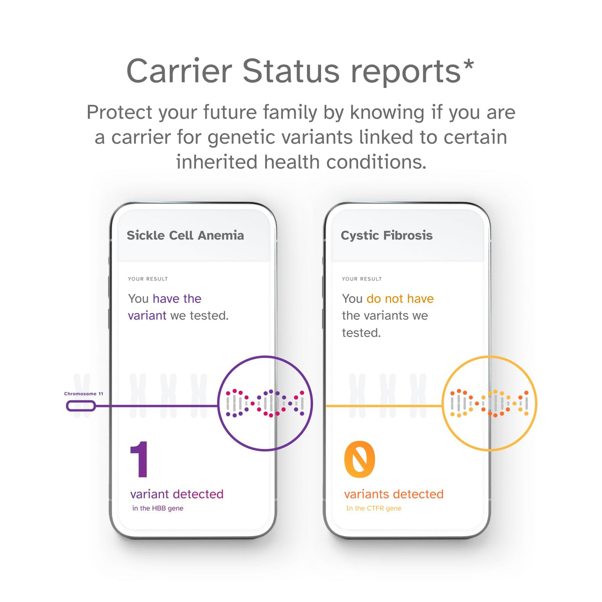 DNA Test Kit Z2967