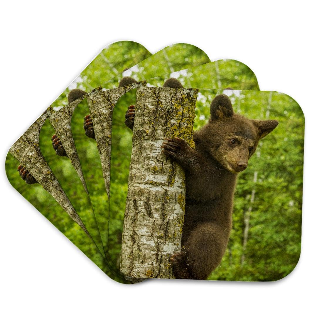 Set of 4 Coasters Y203