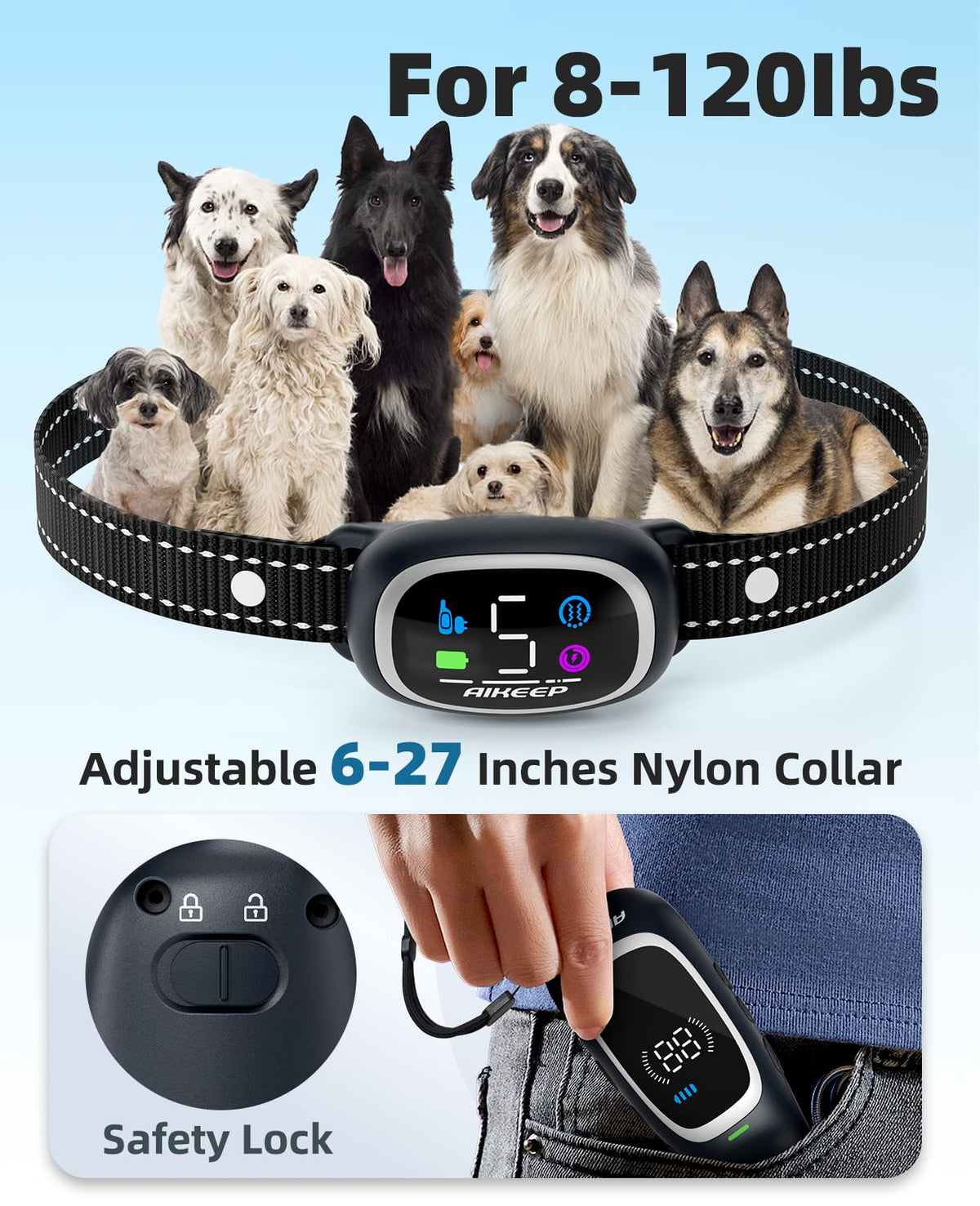 2-in-1 Dog Training Collar with Remote H88846