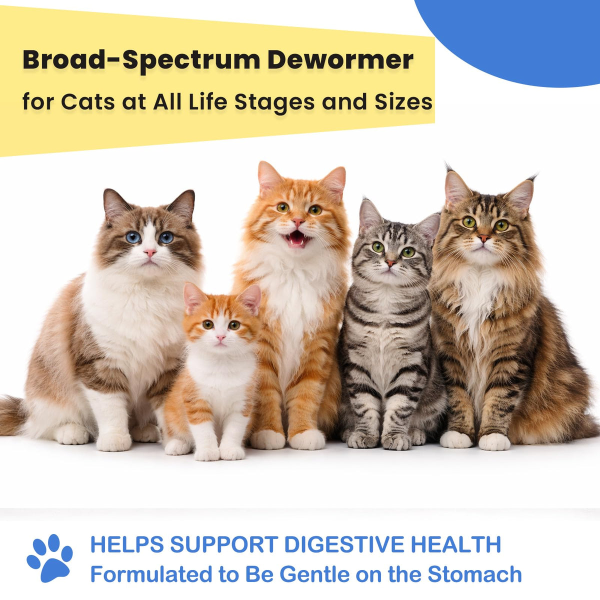 Cat Dewormer Tablets D19280