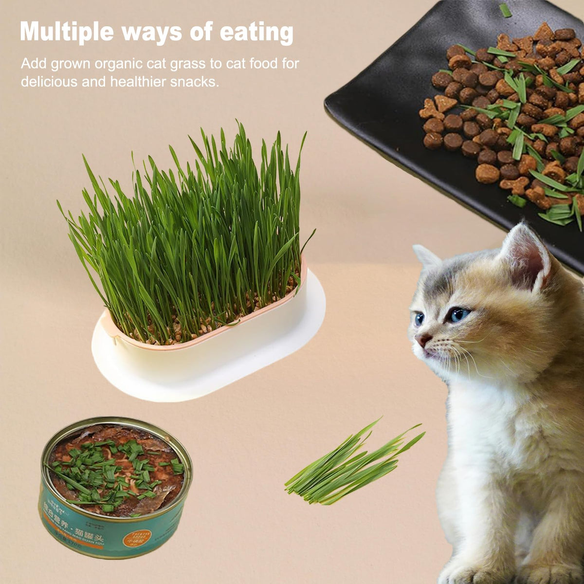 3Pcs Plastic Cat Grass Planter Hydroponic Growing Kit B650469