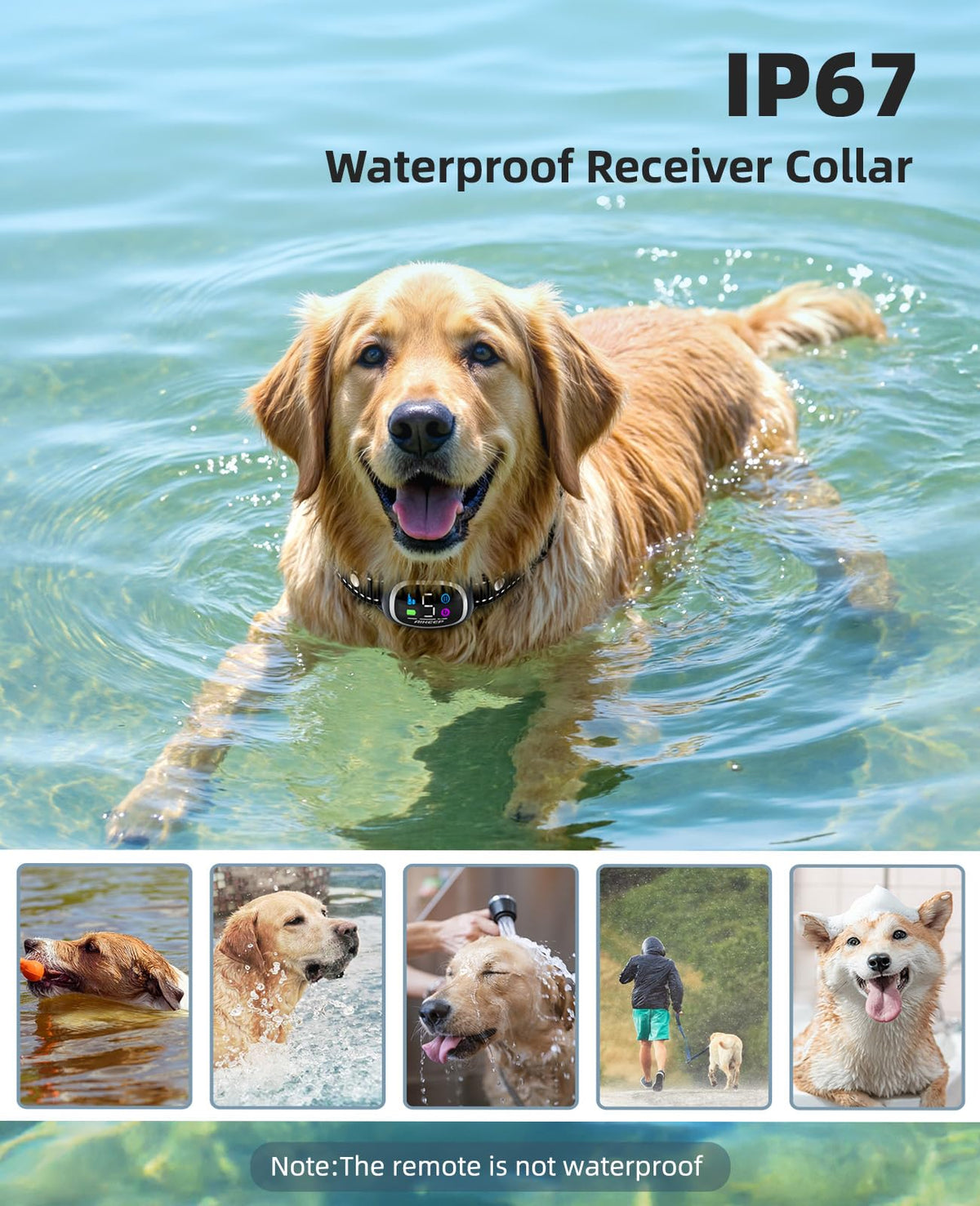 2-in-1 Dog Training Collar with Remote H88846