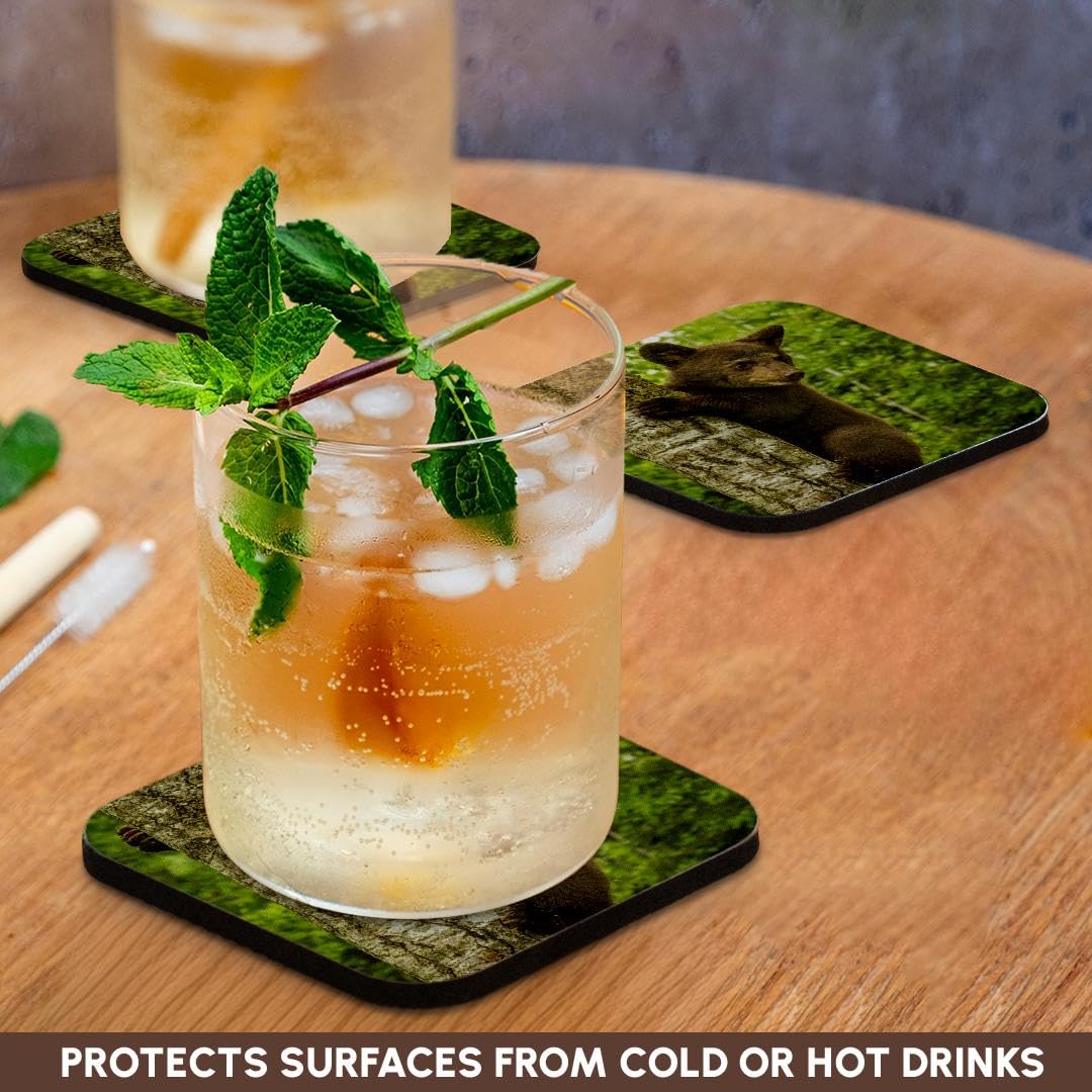 Set of 4 Coasters Y203