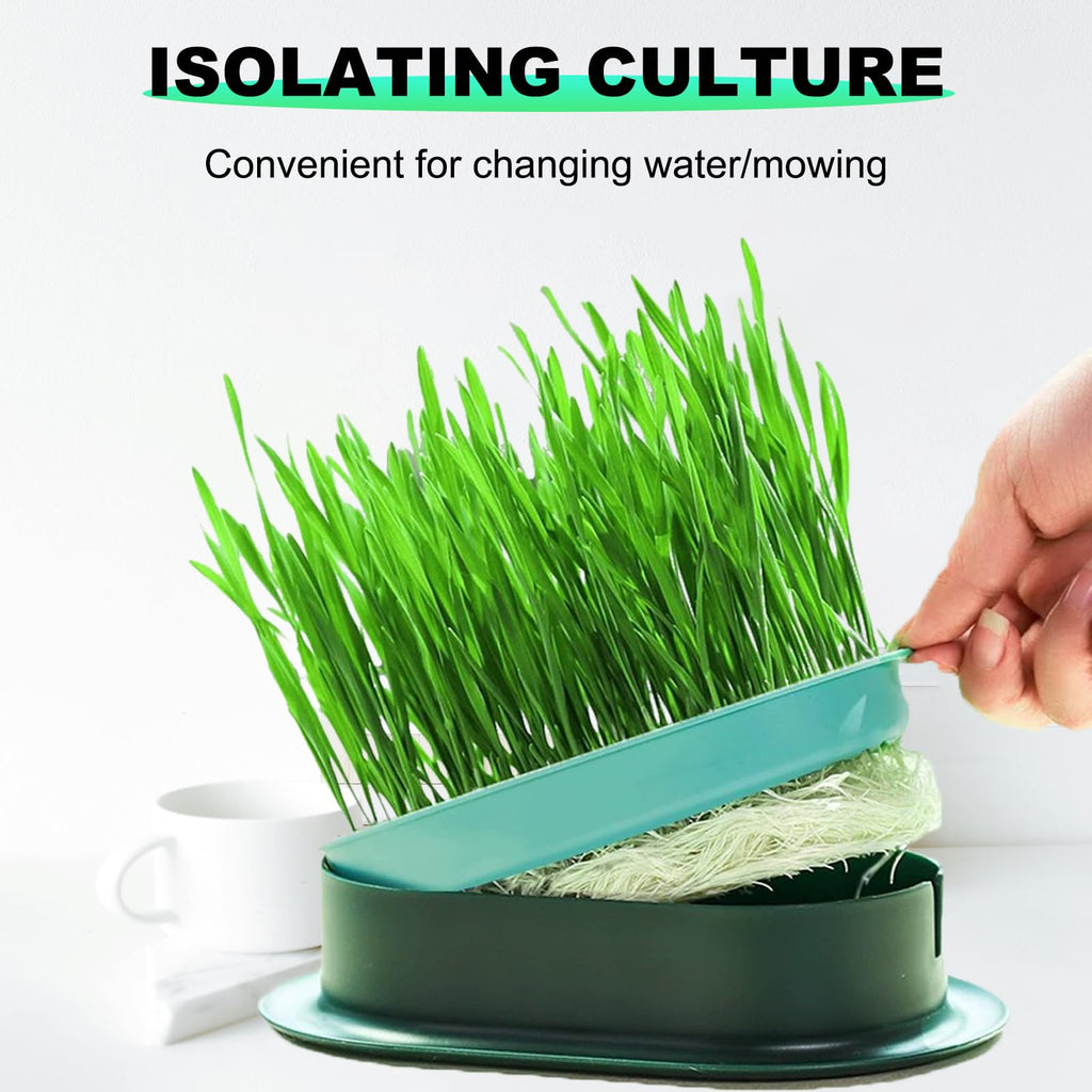 3Pcs Plastic Cat Grass Planter Hydroponic Growing Kit B650469