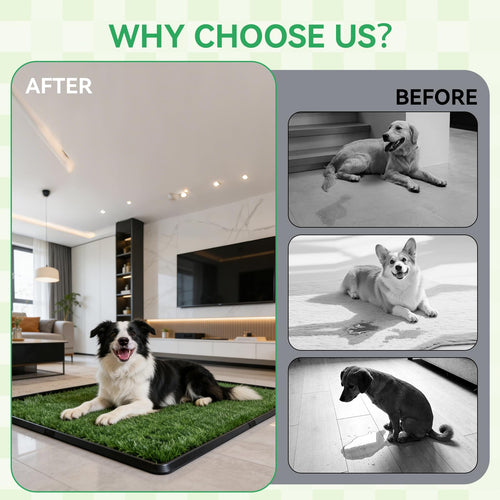 20x30 Inch Artificial Grass Dog Potty Pad with Tray N6228