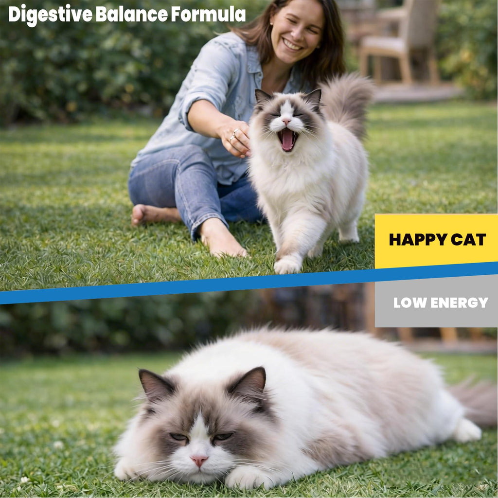 Cat Dewormer Tablets D19280