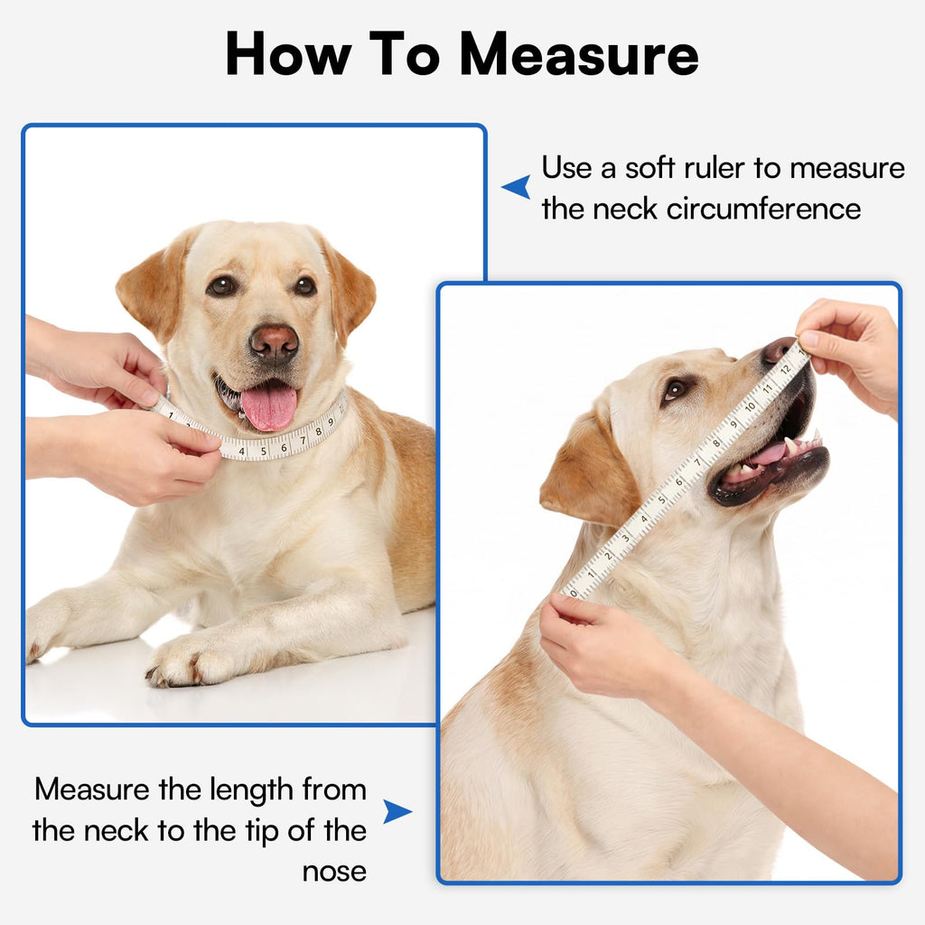 Soft Dog Cone Collar A923