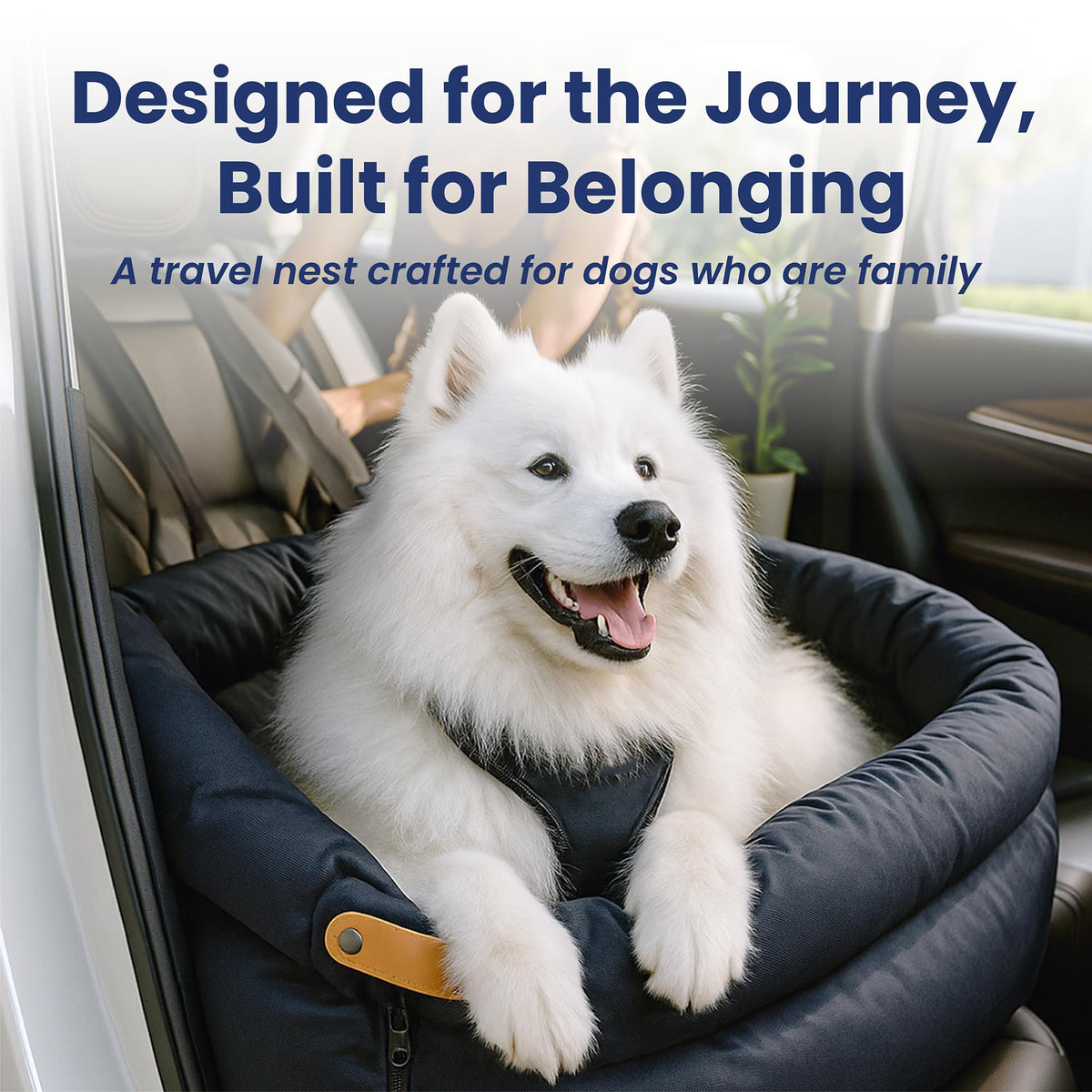 2-in-1 Pet Car Seat & Convertible Travel Dog Bed, XL, Black Z922121