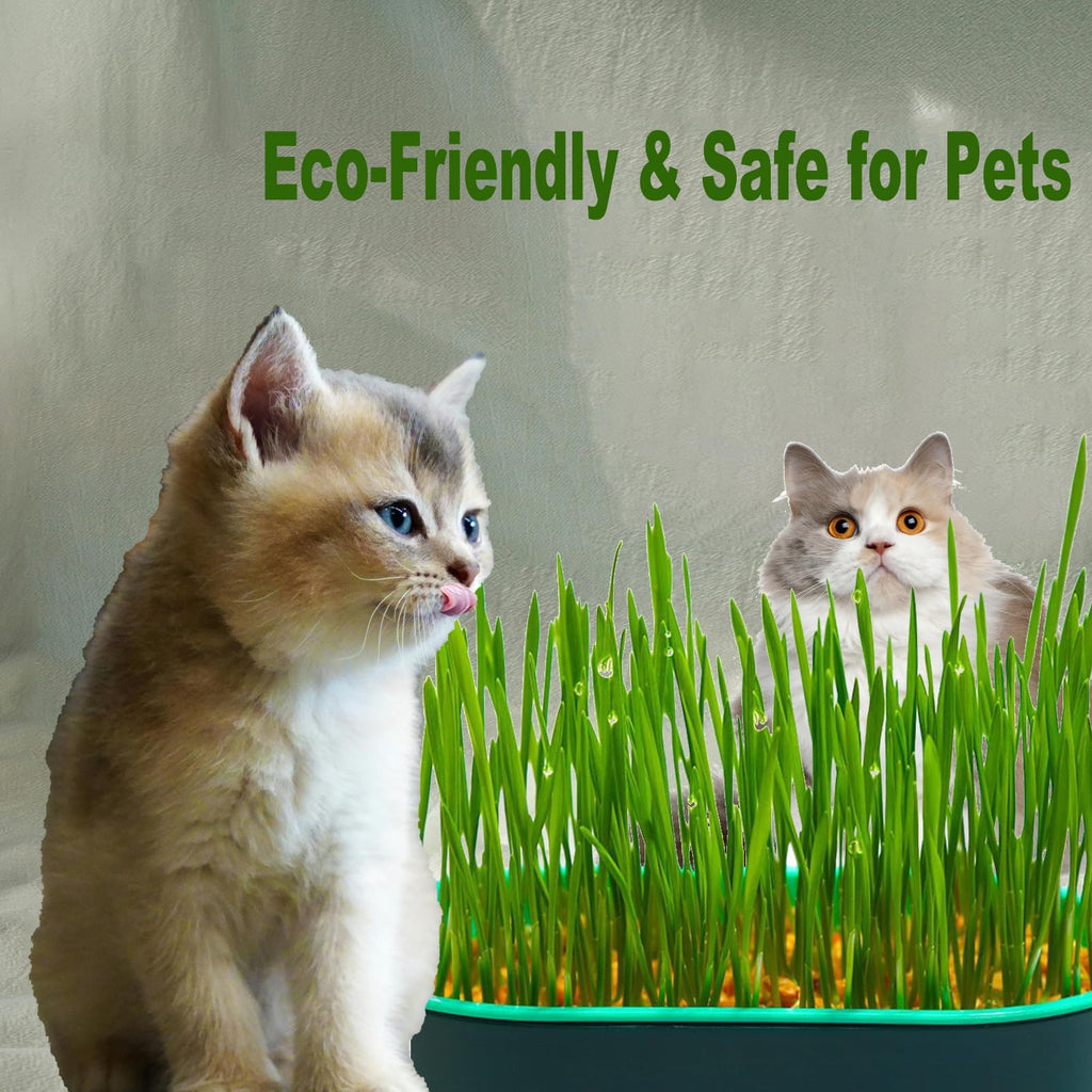 3Pcs Plastic Cat Grass Planter Hydroponic Growing Kit B650469
