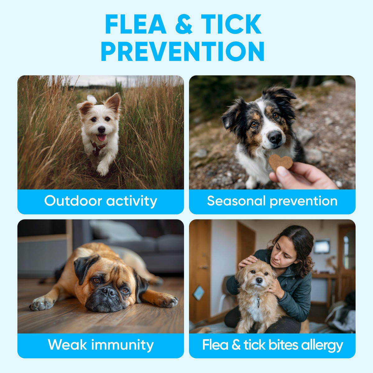 Chewable Flea and Tick Prevention for Dogs 120 Soft Chews Z5544