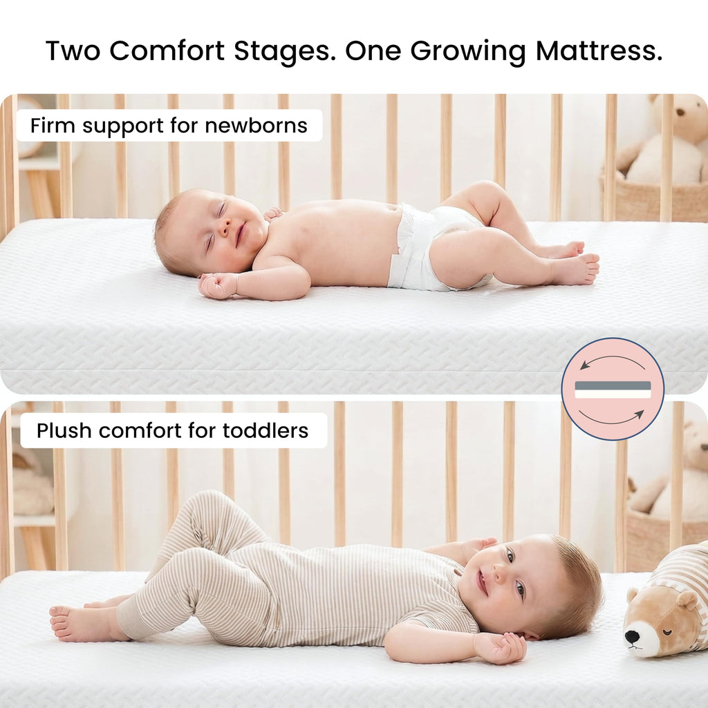 2-in-1 Crib & Toddler Mattress F641313