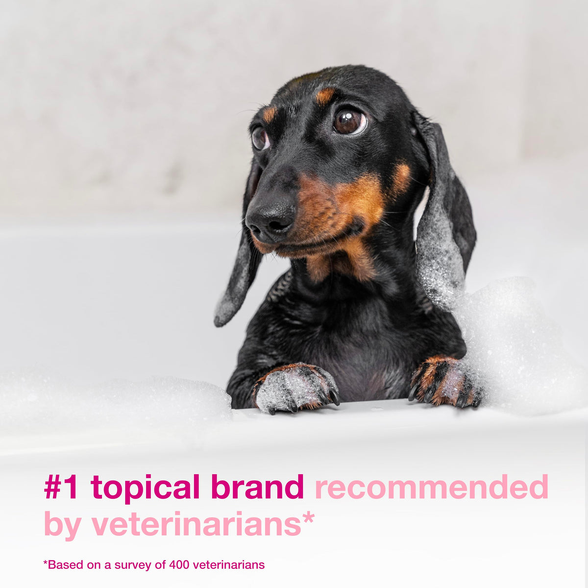Dog Shampoo for Itchy Skin 6.7 fl oz M72241