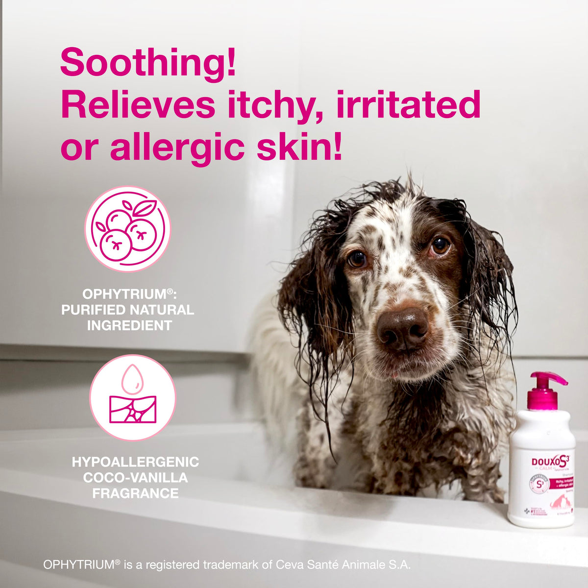 Dog Shampoo for Itchy Skin 6.7 fl oz M72241
