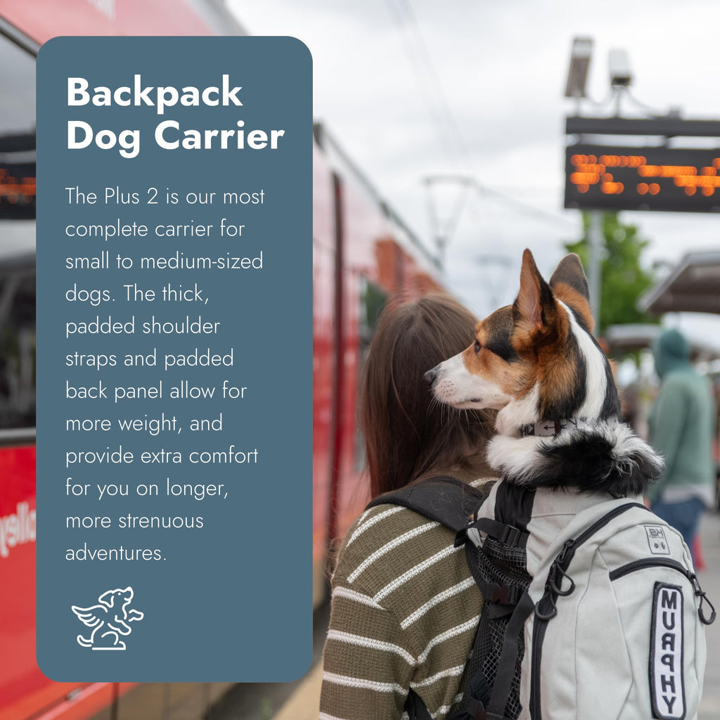 Small Light Grey Backpack-Style Dog Carrier Z838761