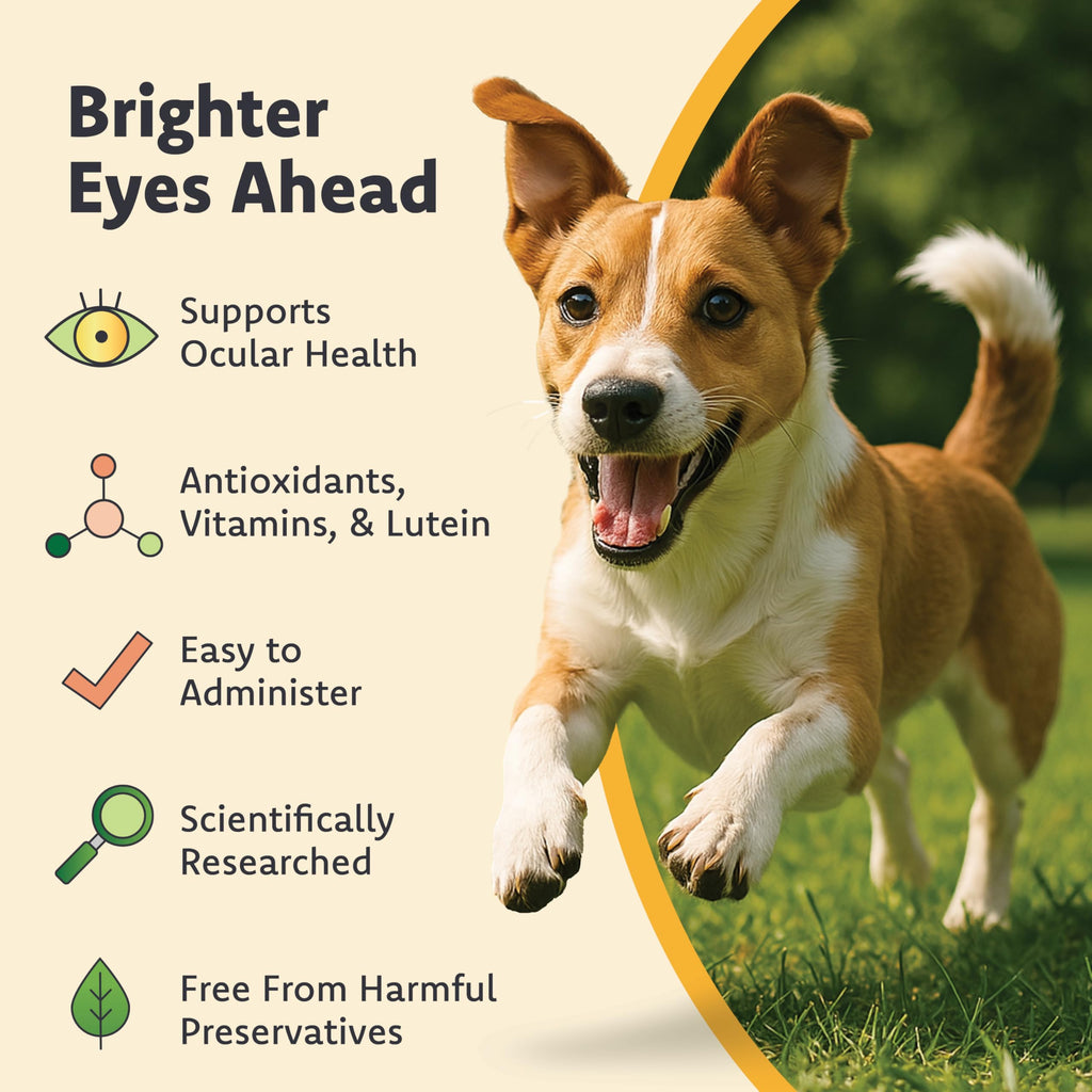Chewable Eye Support Supplement for Cats and Dogs with Lutein, Omega-3 & Antioxidants D8069