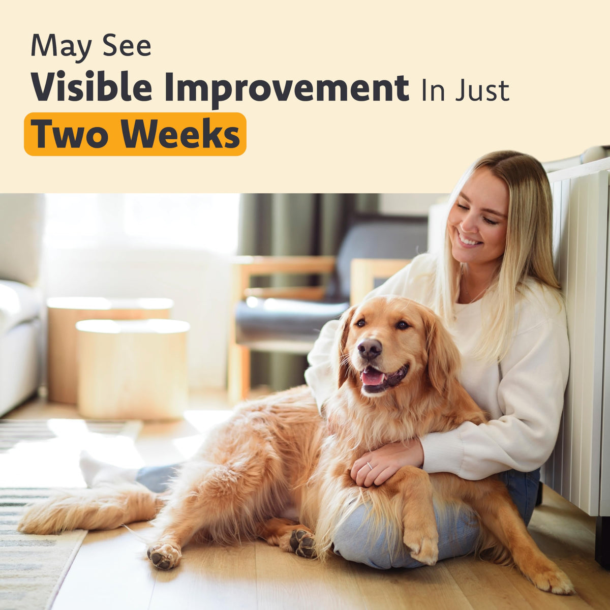 Chewable Eye Support Supplement for Cats and Dogs with Lutein, Omega-3 & Antioxidants D8069