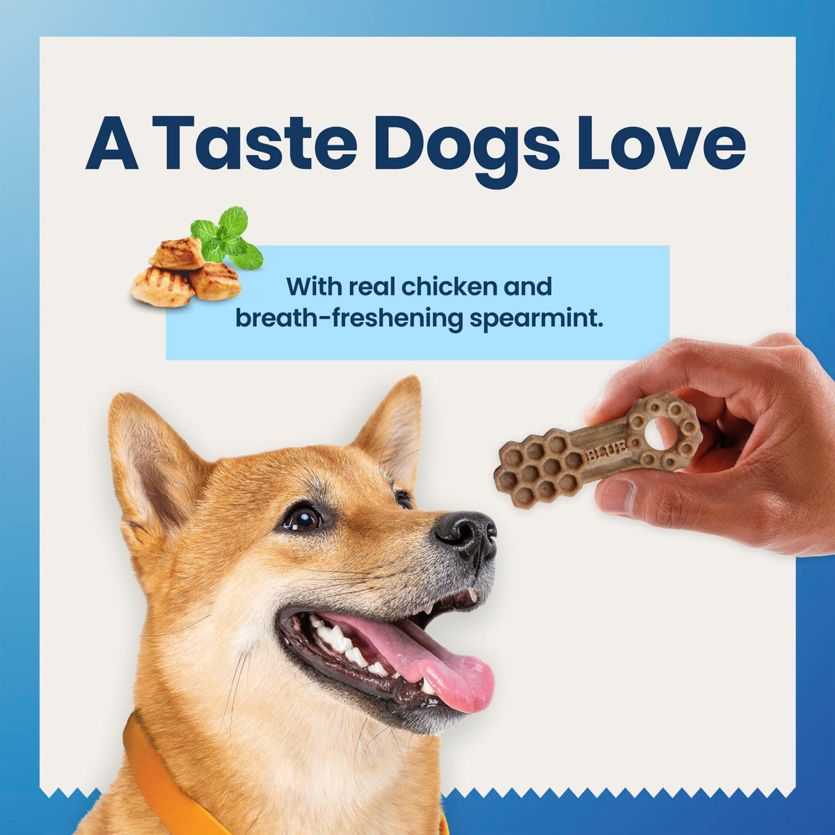 Chicken & Spearmint Medium Dental Chews, 11.5 oz, 14 ct C48849
