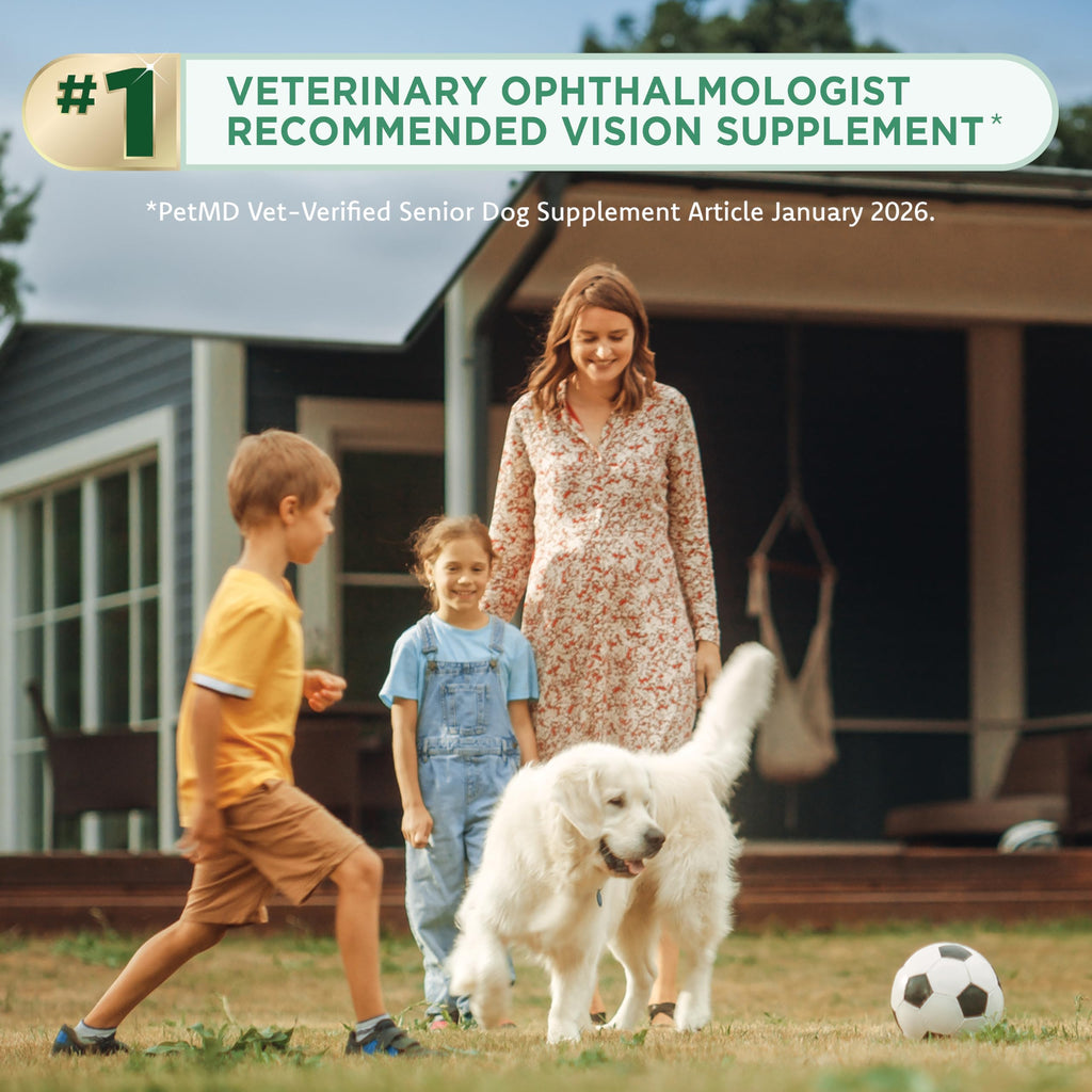 Chewable Eye Support Supplement for Cats and Dogs with Lutein, Omega-3 & Antioxidants D8069