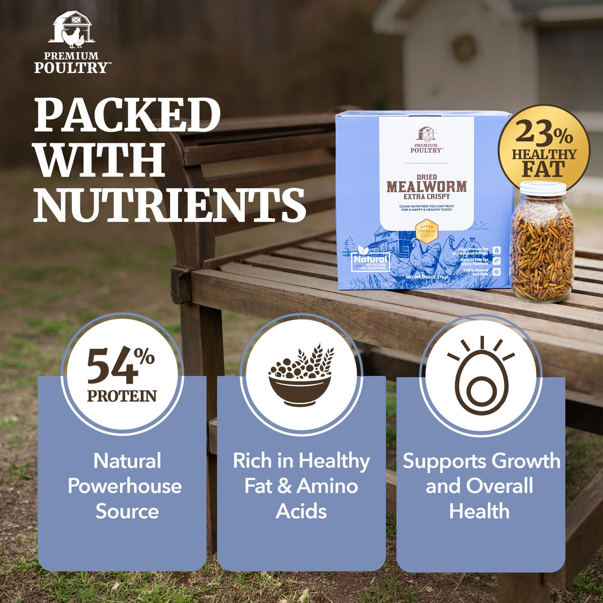 Mealworms for Chickens & Wild Birds, 5lb, 4-Pack Z811