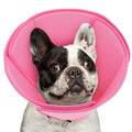 Soft Dog Cone Collar A923