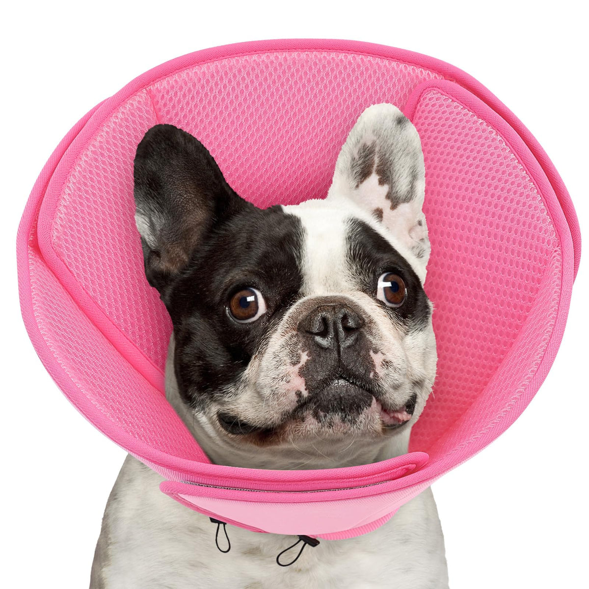 Soft Dog Cone Collar A923