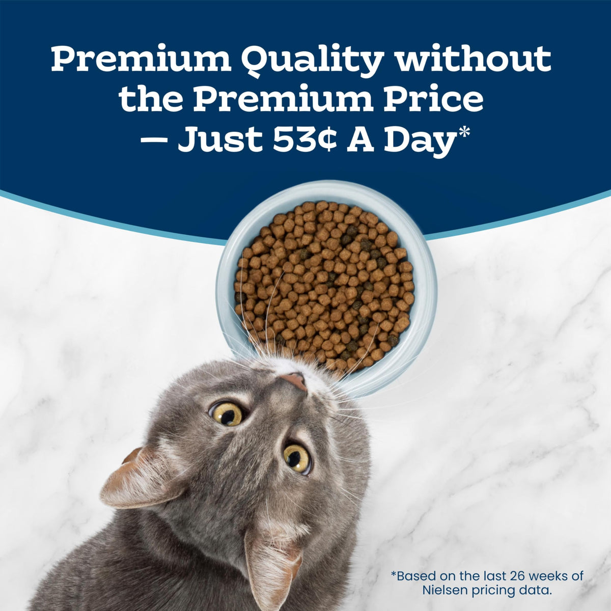 Chicken Sensitive Stomach Dry Cat Food, 3 lb C143315