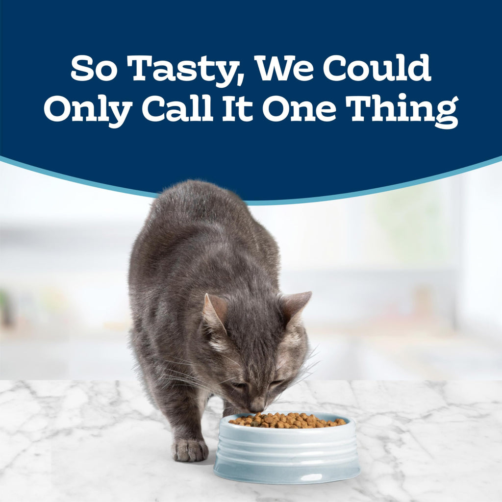 Chicken Sensitive Stomach Dry Cat Food, 3 lb C143315