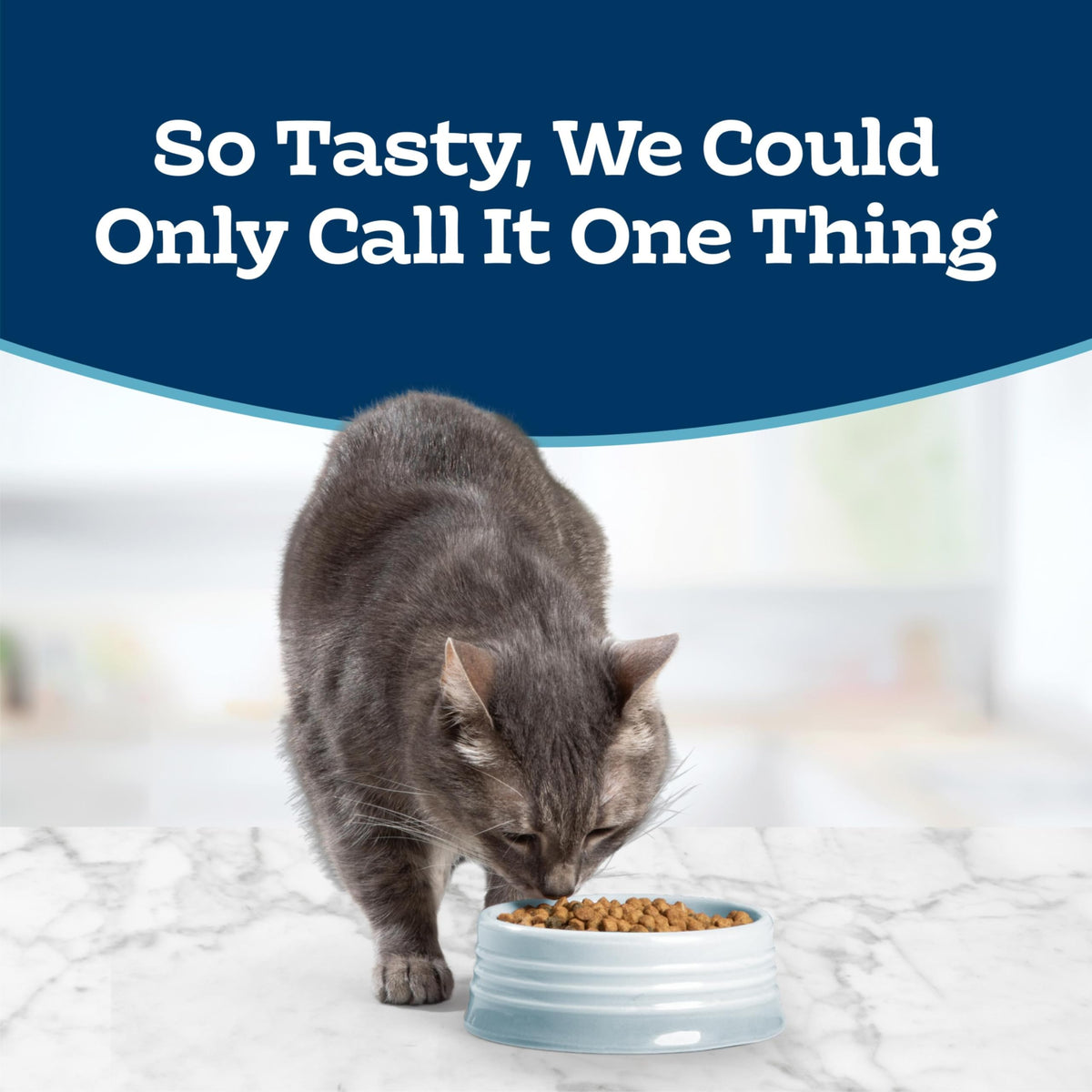 Chicken Sensitive Stomach Dry Cat Food, 3 lb C143315