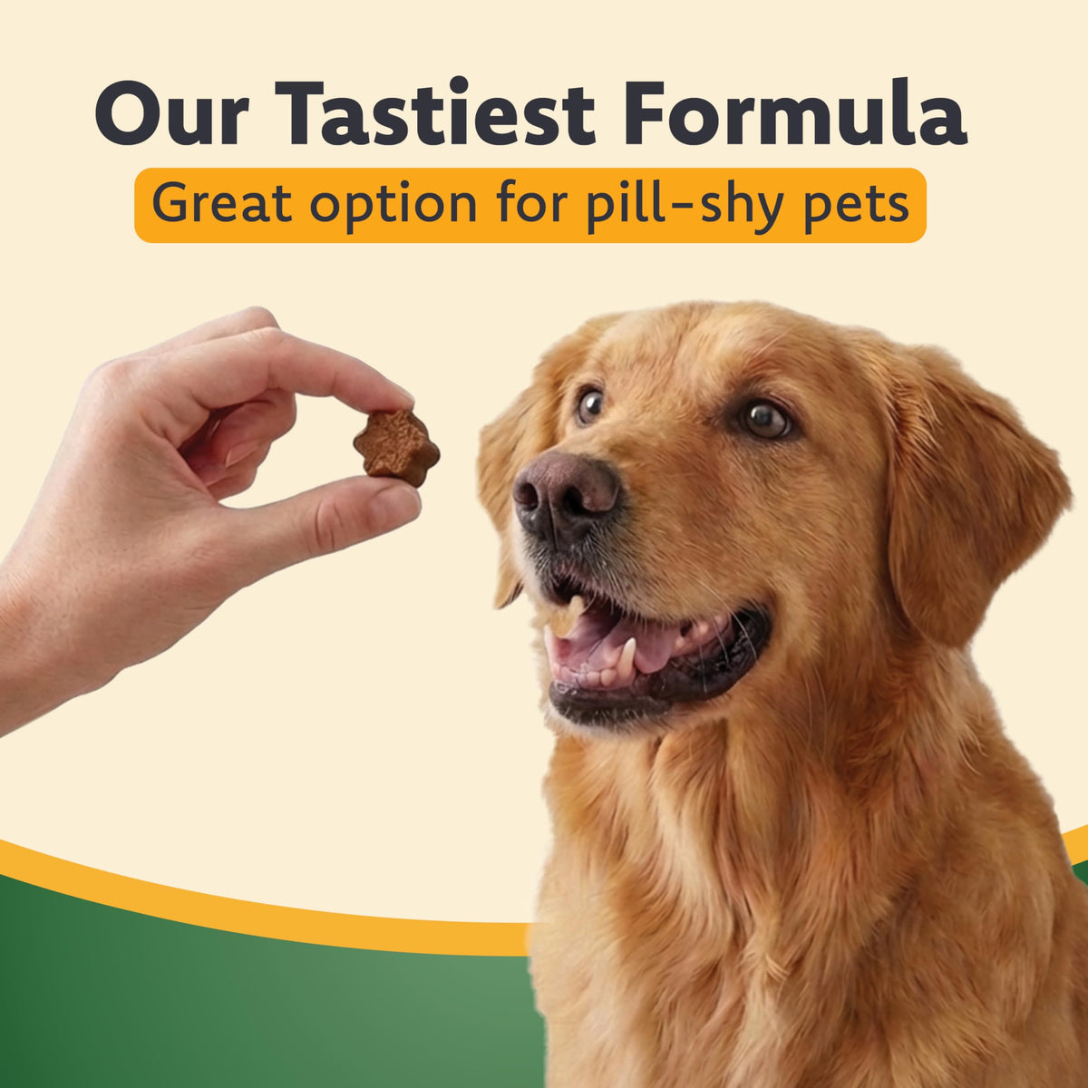 Chewable Eye Support Supplement for Cats and Dogs with Lutein, Omega-3 & Antioxidants D8069