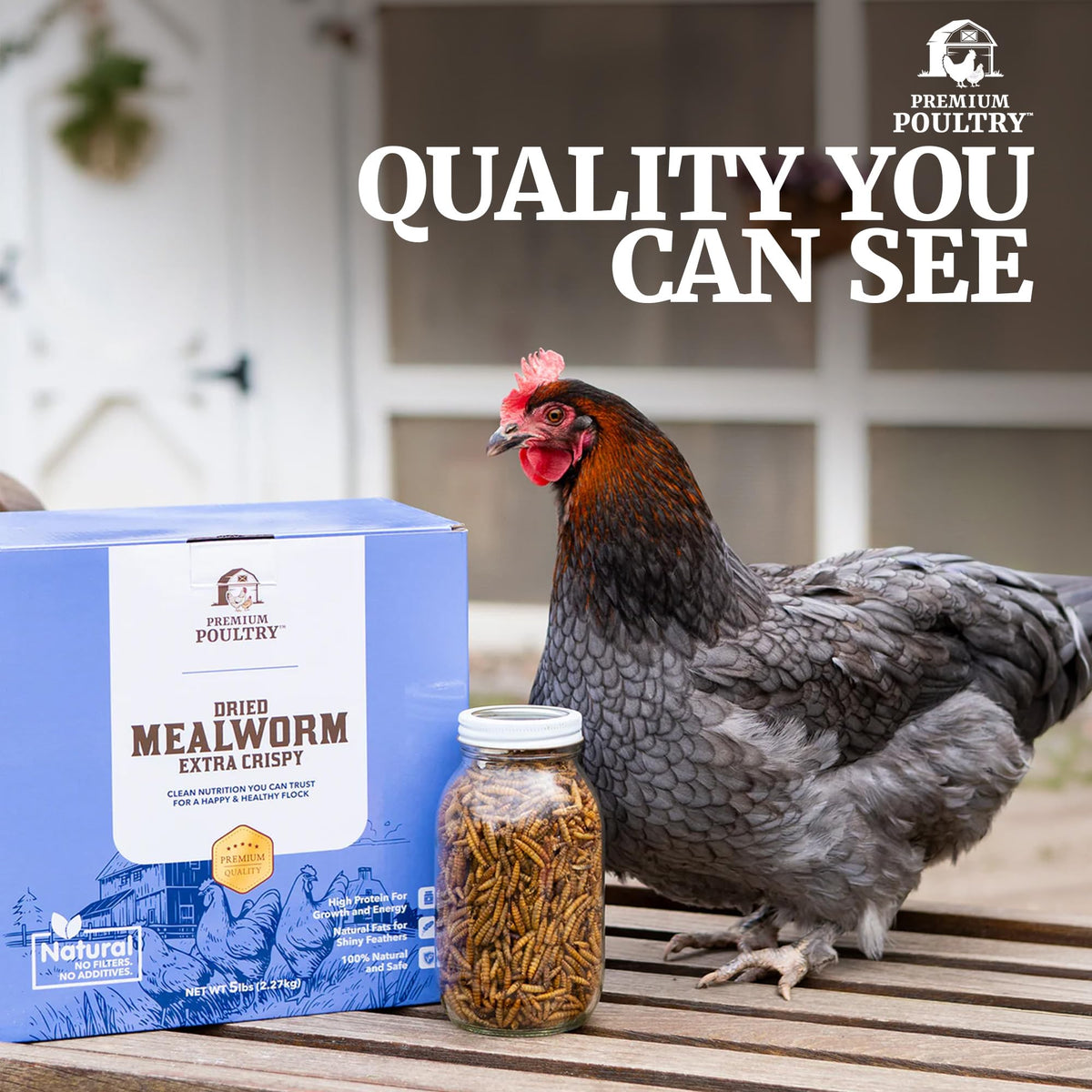 Mealworms for Chickens & Wild Birds, 5lb, 4-Pack Z811